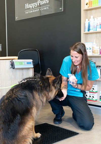 Our loving vet with a german shepard at the Happy Paws Vet clinic