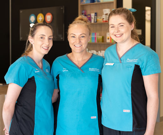 About Us - Coombabah Vets - Happy Paws Veterinary Clinic