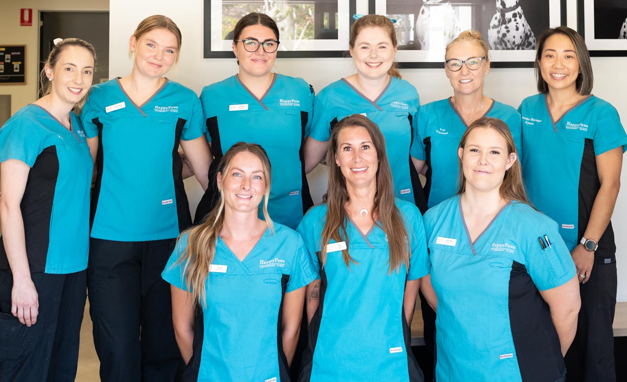 Meet the Team Happy Paws Veterinary Clinic