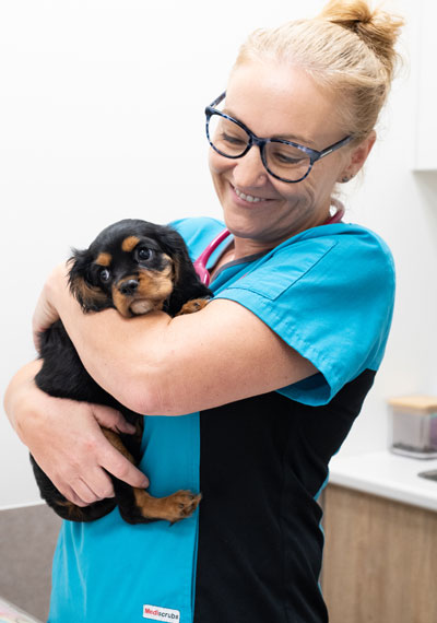 Happy paws best sale veterinary clinic