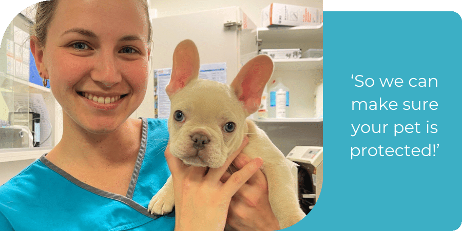 Vet nurse Teagan holding a vaccinated puppy