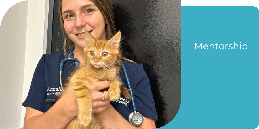 Placement student Anna holding a kitty at Happy Paws clinic