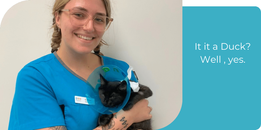 Congratulations to Nurse Chloe who recently adopted this little meow called Duck