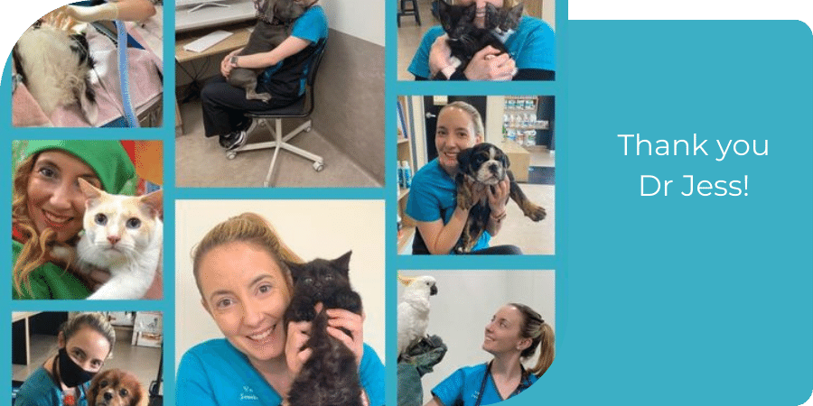 Collage of Dr Jess in the clinic