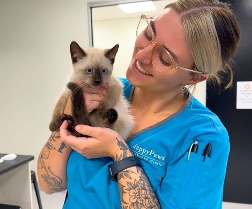 Happy Paws vet nurse giving kitty cat cuddles