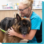 Vet Vanessa cuddling doggo in the Happy Paws Clinic