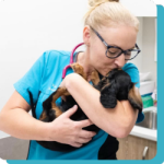 Vet Dr Vanessa cuddling a puppy