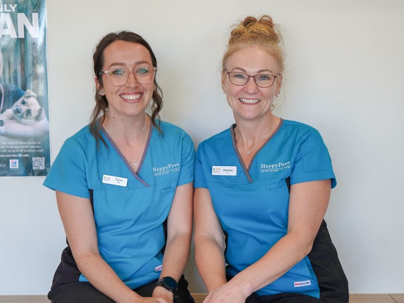 Two Happy Paws vets