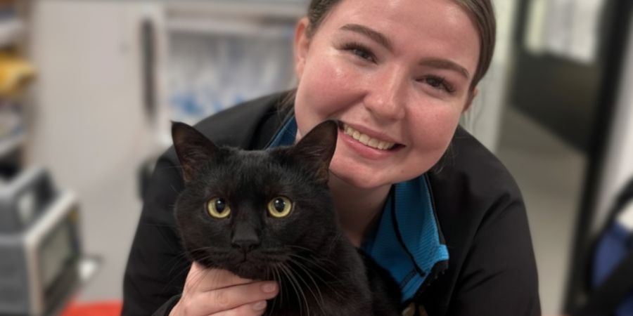 Black cat being held by Happy Paws vet nurse.