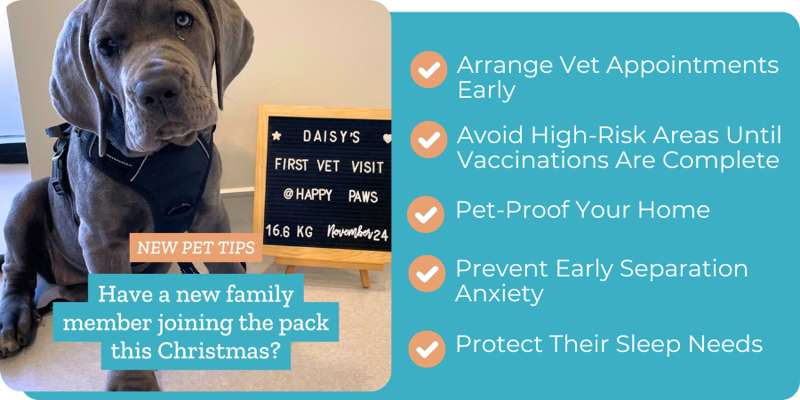 List of new pet tips