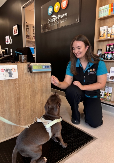 Veterinary nurse interacting with dog.