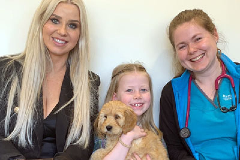 Careers Happy Paws Veterinary Clinic